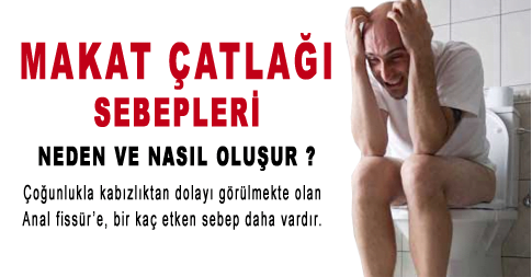 Makat Çatlağı