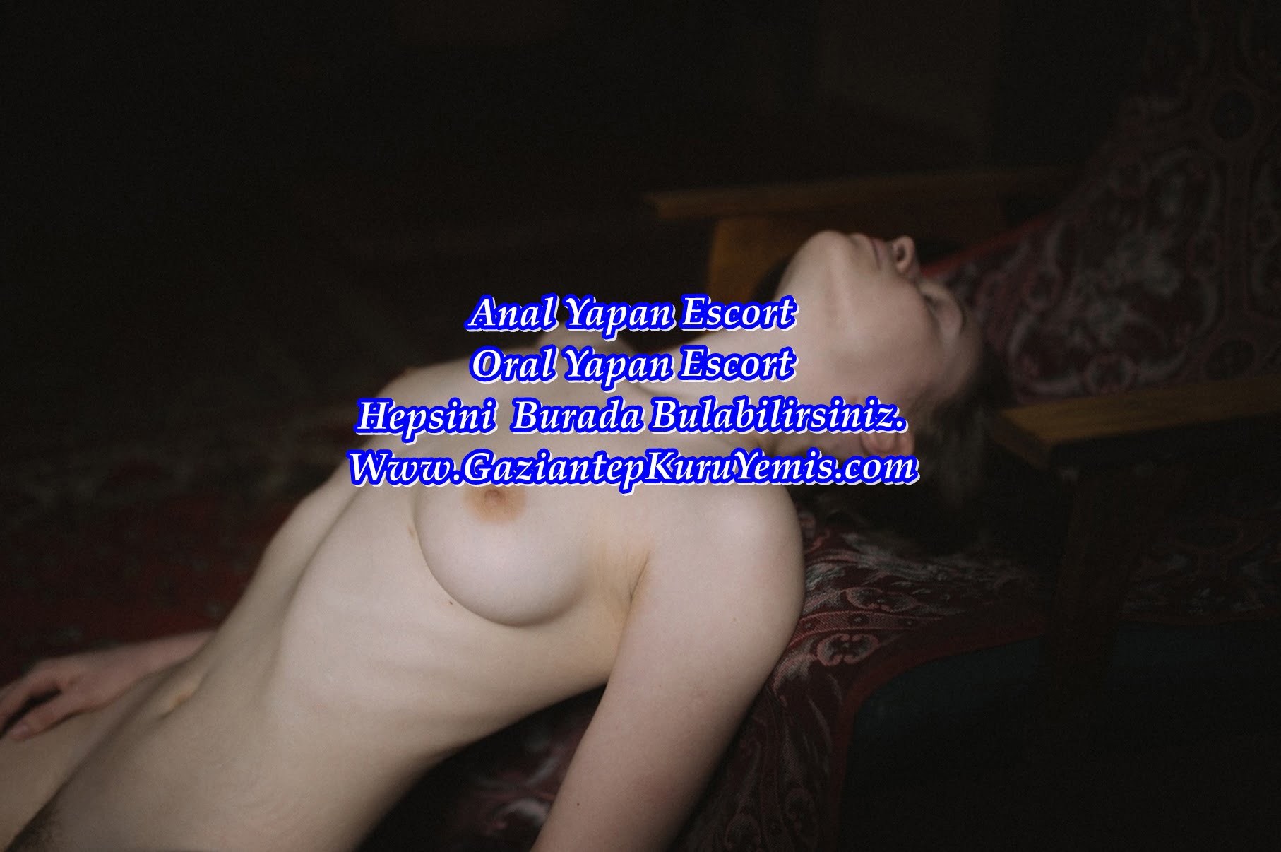 Oral Seks Yapan Escort İlanları